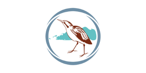 Bittern Line